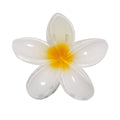 Barrette à cheveux en forme de fleur Tixcon
